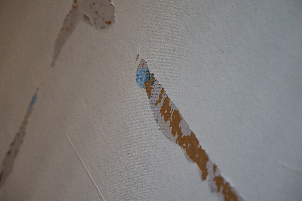 Commercial Water Damage service in Rapid City, SD